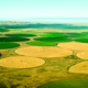 Navajo Agricultural Products Industry, NAPI