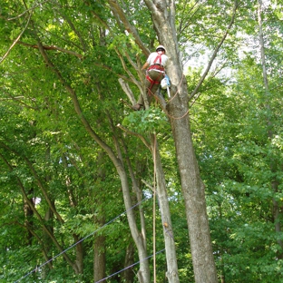 Buck Moran's Tree & Landscape - Akron, OH