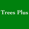 Trees Plus gallery