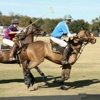 Sarasota Polo Club gallery