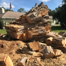 Troyer Tree Service - Tree Service