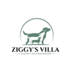 Ziggy's Villa gallery