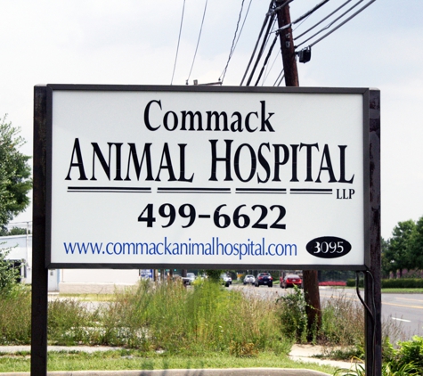 Commack Animal Hospital - East Northport, NY