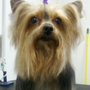 Bainbridge Pet Salon - Pet Grooming