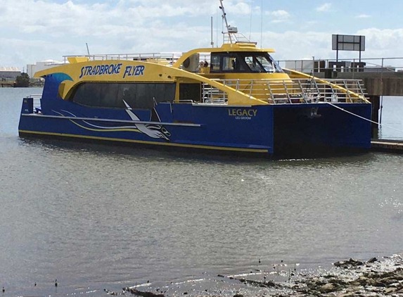Stradbroke Flyer Gold Cats - Cleveland, QLD
