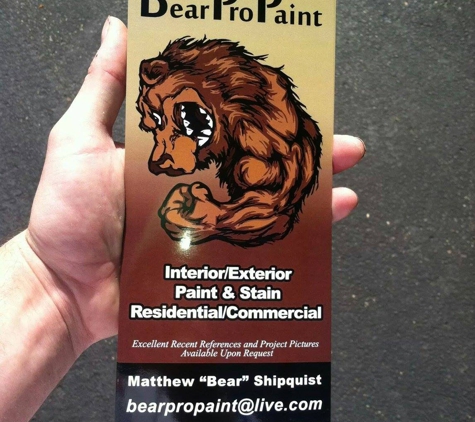 Bear Pro Paint - Minneapolis, MN