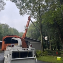 Ac-Pro Tree Service - Tree Service