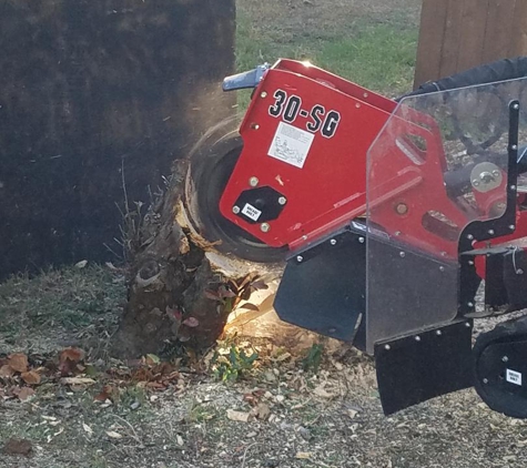 The DFW Stump Grinder - Fort Worth, TX