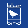 Blue Bird Carpet Cleaning gallery