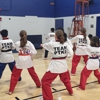 Professional Tae Kwon Do gallery