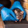 N & N Pest Control gallery