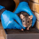N & N Pest Control - Pest Control Equipment & Supplies