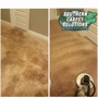 Southern Carpet Solutions