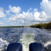 Loggerhead Club & Marina South Miami gallery