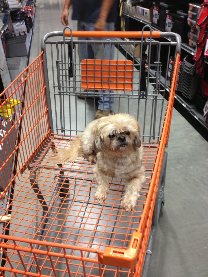 The Home Depot - Hartwell, GA 30643