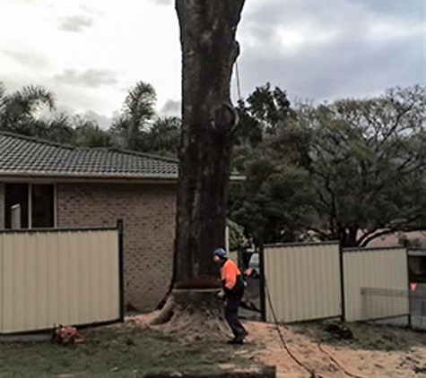 Walton's Tree Care Services - Woonona, NSW