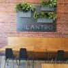 Cilantro Mexican Restaurant gallery