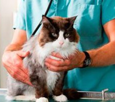 Timonium Animal Hospital  -  Lutherville - Lutherville, MD