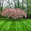 TB Lawns and Yard Maintenance Inc. - Lawn Maintenance