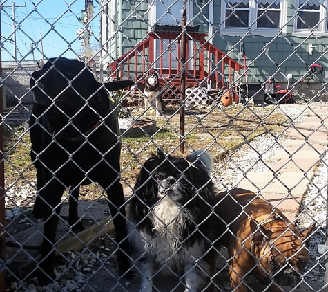 Little Doggies College and Pasa's Animal Care - Fairhaven, MA