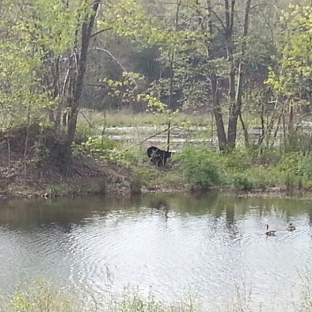 Berkshire Valley Golf Course - Oak Ridge, NJ