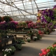 Bauer's Garden Center Market & Nursery