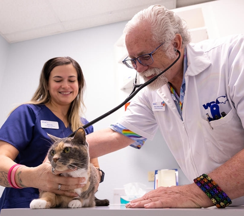 VCA Health Associates Animal Hospital - San Antonio, TX
