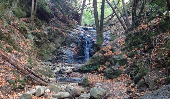 Uvas Canyon County Park - Morgan Hill, CA