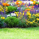 Osorio Landscaping and Tree Services - Tree Service
