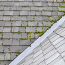 Monroy's Roofing