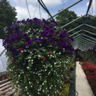 Quinn's Flower Farms