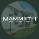 Mammoth at the Orchard Apartments