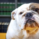 Brumback & Ottem Injury Law - Social Security & Disability Law Attorneys