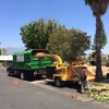 H & E Tree Service gallery