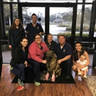 South Paws Veterinary Surgical Specialists