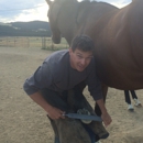 Matt Pederson - Horseshoers