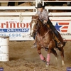 Siskiyou Golden Fair gallery