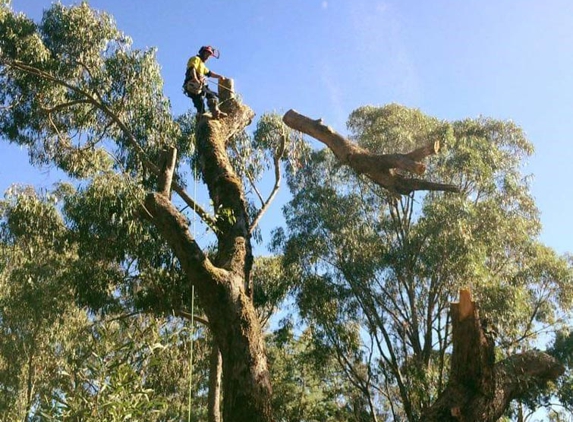 Advanced Tree Care - Bonnie Doon, VIC