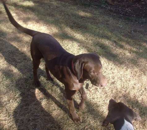 Kylers Field & Marsh kennels - La Pine, OR