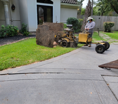 Texas Tree Care - Spring, TX. Stump grinding done by Texas Tree Care tree service Spring, Texas