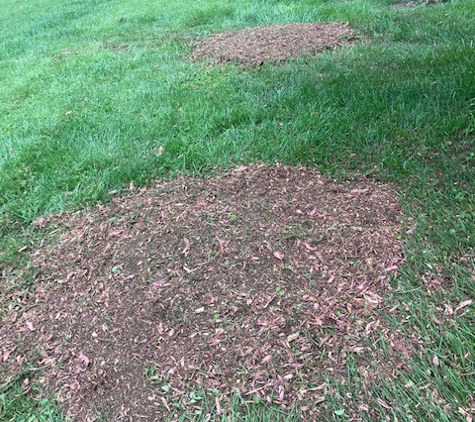 Absolute Stump Grinding - Crestwood, KY