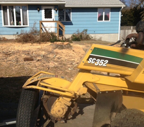 C & E Stump Removal Svc - Bozrah, CT