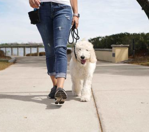 The Everyday Trainer - Winter Springs, FL