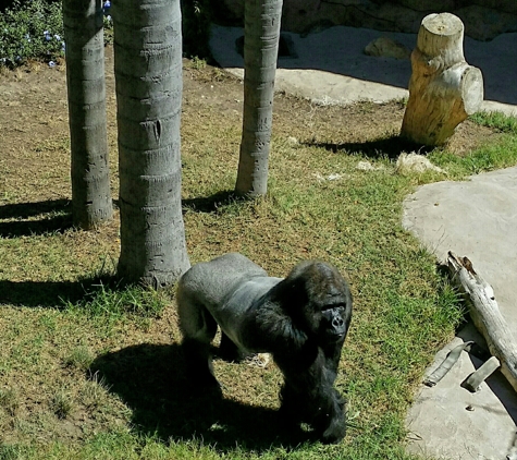 Santa Barbara Zoo - Santa Barbara, CA. By VF