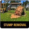 Stump Busters gallery