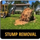 Stump Busters