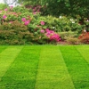 Blades of Glory Lawn Maintenance gallery