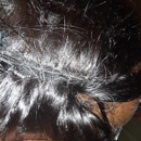 Helen's African Hair Braiding - Hair Braiding