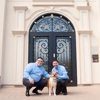 K9 Resorts Luxury Pet Hotel Horsham gallery