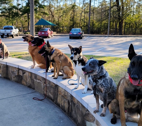 Dogwood Dog Training - Houston, TX